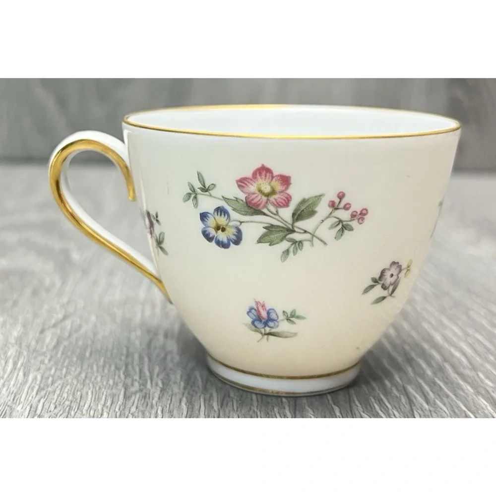 Franconia Fleurettes Selb Bavaria Tea Cup & Saucer Set Colorful Floral Gold Trim